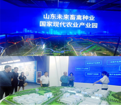 2024，循道而行——济南公共资源交易中心钢城分中心公共资源交易运行技术服务