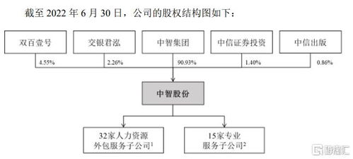 中智股份终止IPO背后的战略抉择 三年分红35亿，聚焦人力资源与公共资源交易技术服务