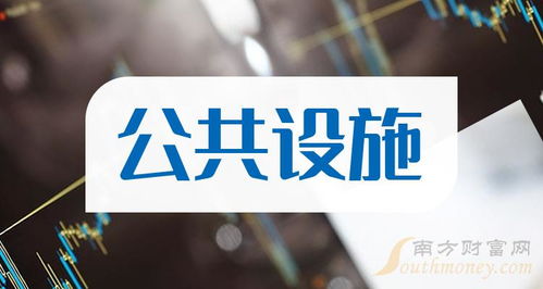 2024年公共设施龙头上市公司全景解析 公共资源交易运行技术服务成为新热点